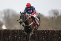 Charlie Hall Chase: Punters back Frost and Nicholls to continue winning combination