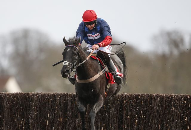 Charlie Hall Chase: Punters back Frost and Nicholls to continue winning combination