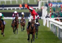 Five Horses for the Weekend from Oddschecker
