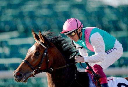Coral-Eclipse 2019: Where's the money going?