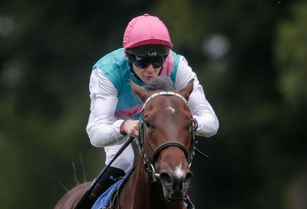 Calyx ruled out of the 2000 Guineas, scuppering 25% of ante-post bets
