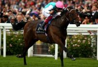 Calyx installed as favourite for 2000 Guineas following Royal Ascot victory
