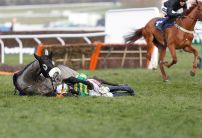 County Hurdle favourite Campeador ruled out of Cheltenham