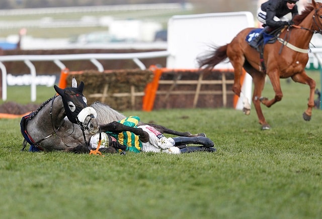County Hurdle favourite Campeador ruled out of Cheltenham