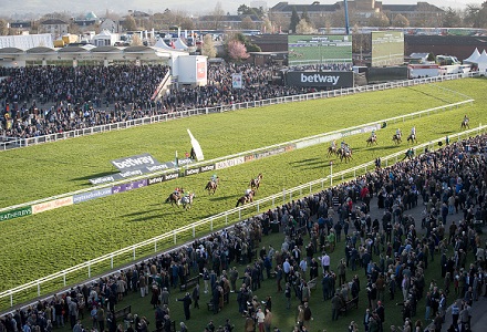 The five most backed horses at Cheltenham today