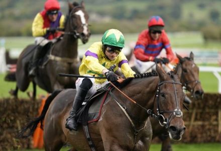 The most backed horses at the Cheltenham November Meeting today