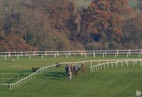 The most backed horses on Cheltenham Day One