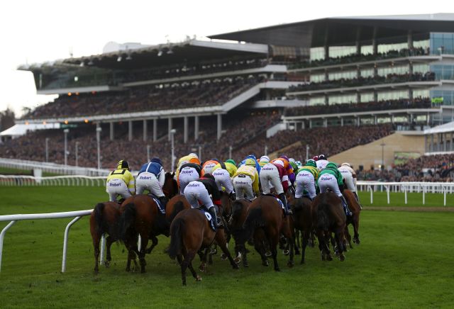 The most backed horses at the Cheltenham Showcase Meeting today ...