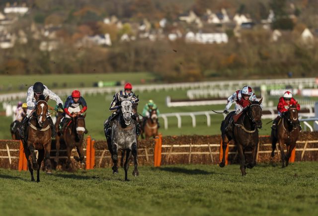 The five most backed horses today at Cheltenham Trials Day