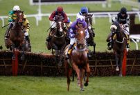The punter vs the bookie: Bookmakers have another bad day at the office