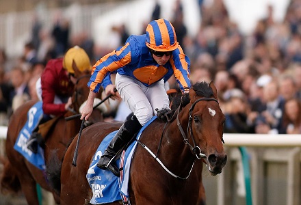 Tuesday's Horse Racing Market Movers