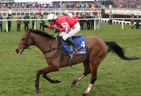 Coneygree ruled out of Gold Cup