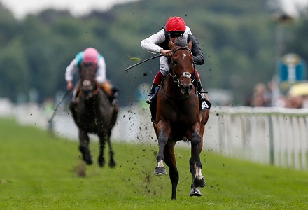 Punters pile in on Cracksman despite Arc uncertainty