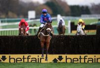 Punters torn between Cue Card and Bristol De Mai for Betfair Chase