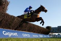 Cue Card set sights on Cheltenham Gold Cup crown