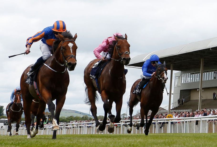 John Gosden colt favoured by punters for the Irish 2000 Guineas