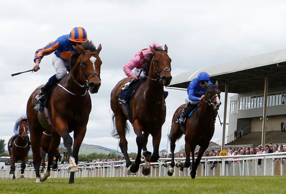 Thursday's Horse Racing Market Movers