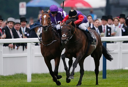 Friday's Horse Racing Market Movers