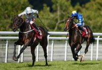 Dee Ex Bee battles Kew Gardens in punters' pick for the St Leger