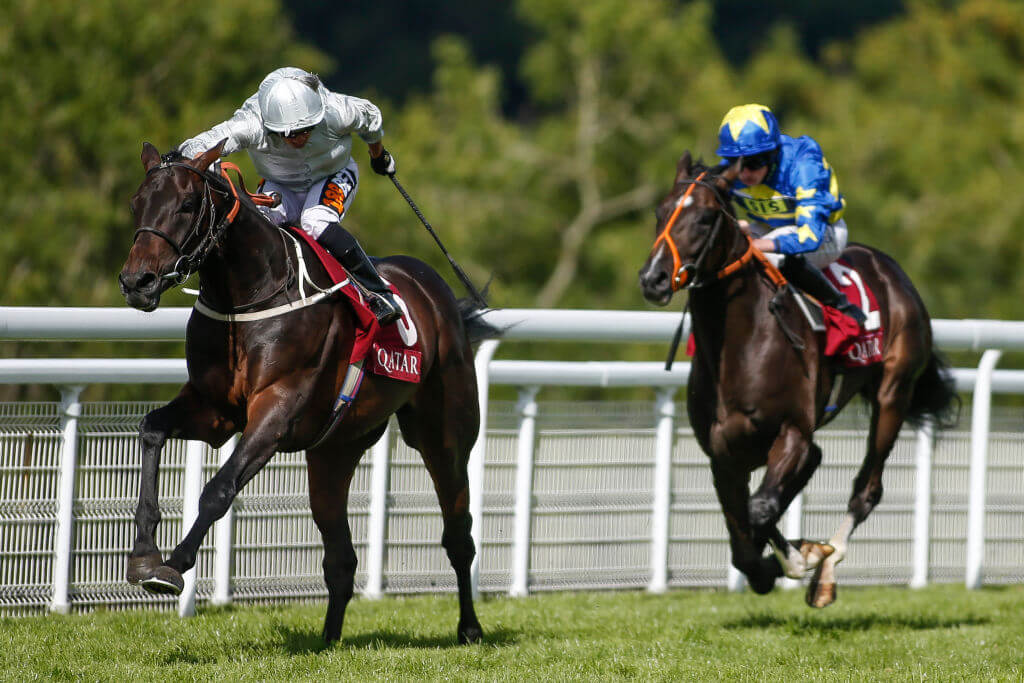 Saturday's Horse Racing Market Movers