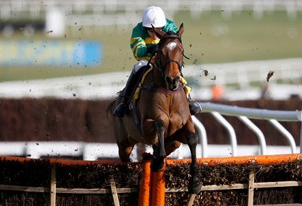 Defi Du Seuil powers to Triumph Hurdle glory