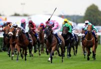 The most backed horses at the St Leger Festival today
