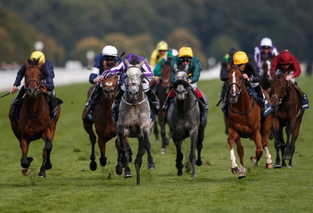 Thursday's Horse Racing Market Movers