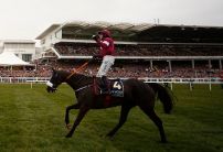 Thistlecrack hardens for Gold Cup glory after Cossack retires