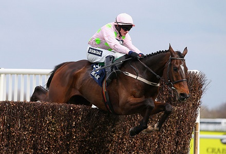 Douvan Tingle Creek gamble gathers pace