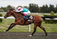 Enable wins the September Stakes at Kempton and has the Arc in her sights