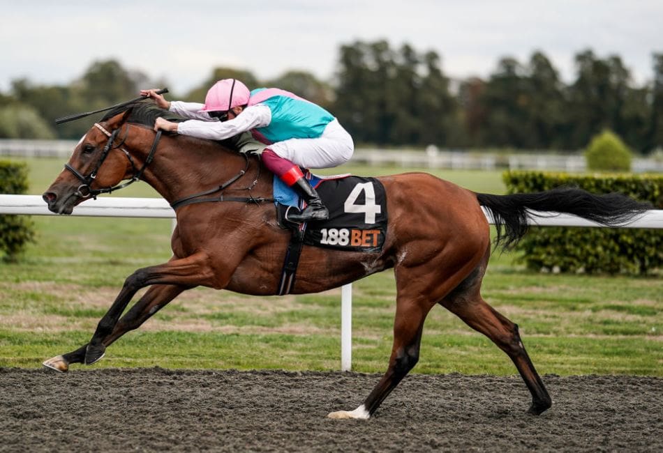 Enable wins the September Stakes at Kempton and has the Arc in her sights