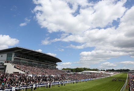 Market Movers: Wednesday's best backed horses