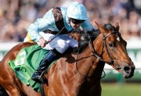 Fairyland weaves magic in the Cheveley Park Stakes and lowers her 1000 Guineas odds