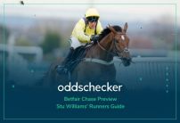 Betfair Chase 2020 Odds: Tips, Runners Guide & Preview