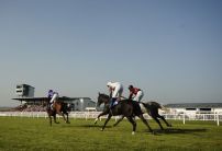 Sunday's Horse Racing Market Movers