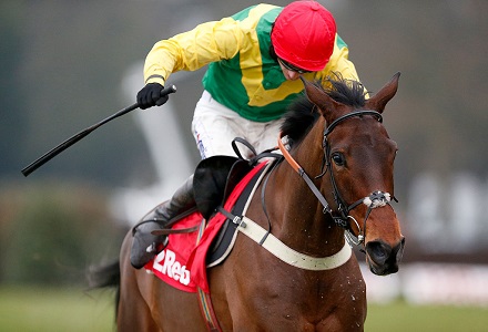 Finian's Oscar out of Cheltenham Festival after minor setback