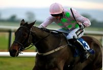 Getabird the punters pick in Moscow Flyer Novice Hurdle