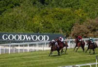 The most backed horses on Glorious Goodwood Day One