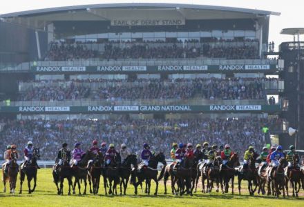 How to play the Virtual Grand National Sweepstake