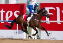 Crowley named number one jockey for Sheikh Hamdan