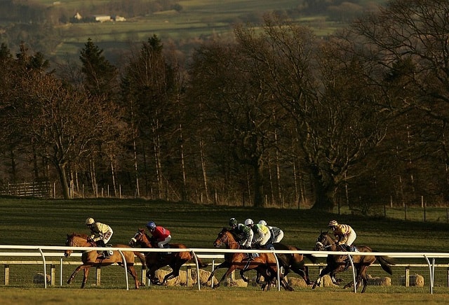 Saturday's Horse Racing Market Movers