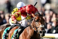 Iridessa made favourite for 2019 Oaks after stunning Newmarket victory