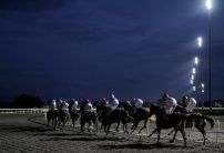 Friday's Horse Racing Market Movers
