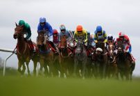 French recruit backed for Lanzarote Hurdle success