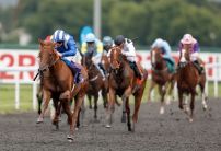 Monday's Horse Racing Market Movers