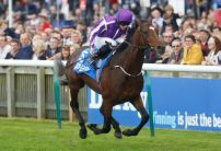 Punters rush to back Kew Gardens for the St Leger