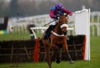 Impressive La Bague Au Roi odds cut for both Mares AND Stayers Hurdle