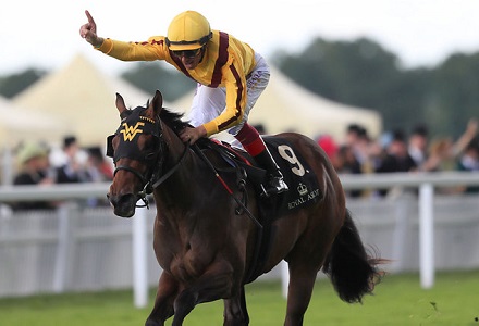 Were short-priced favourite backers winners or losers in 2016?