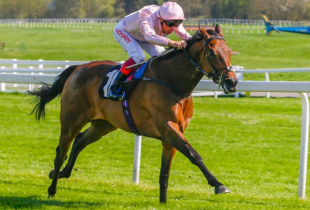Saturday's Horse Racing Market Movers