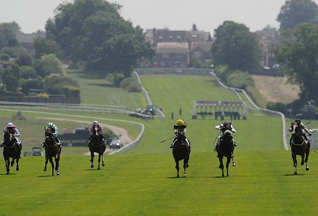 Friday's Horse Racing Market Movers